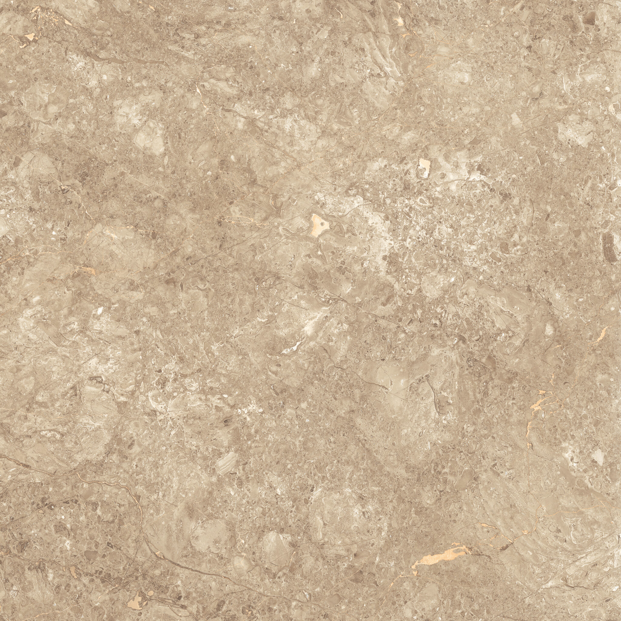 Tile P-660160S